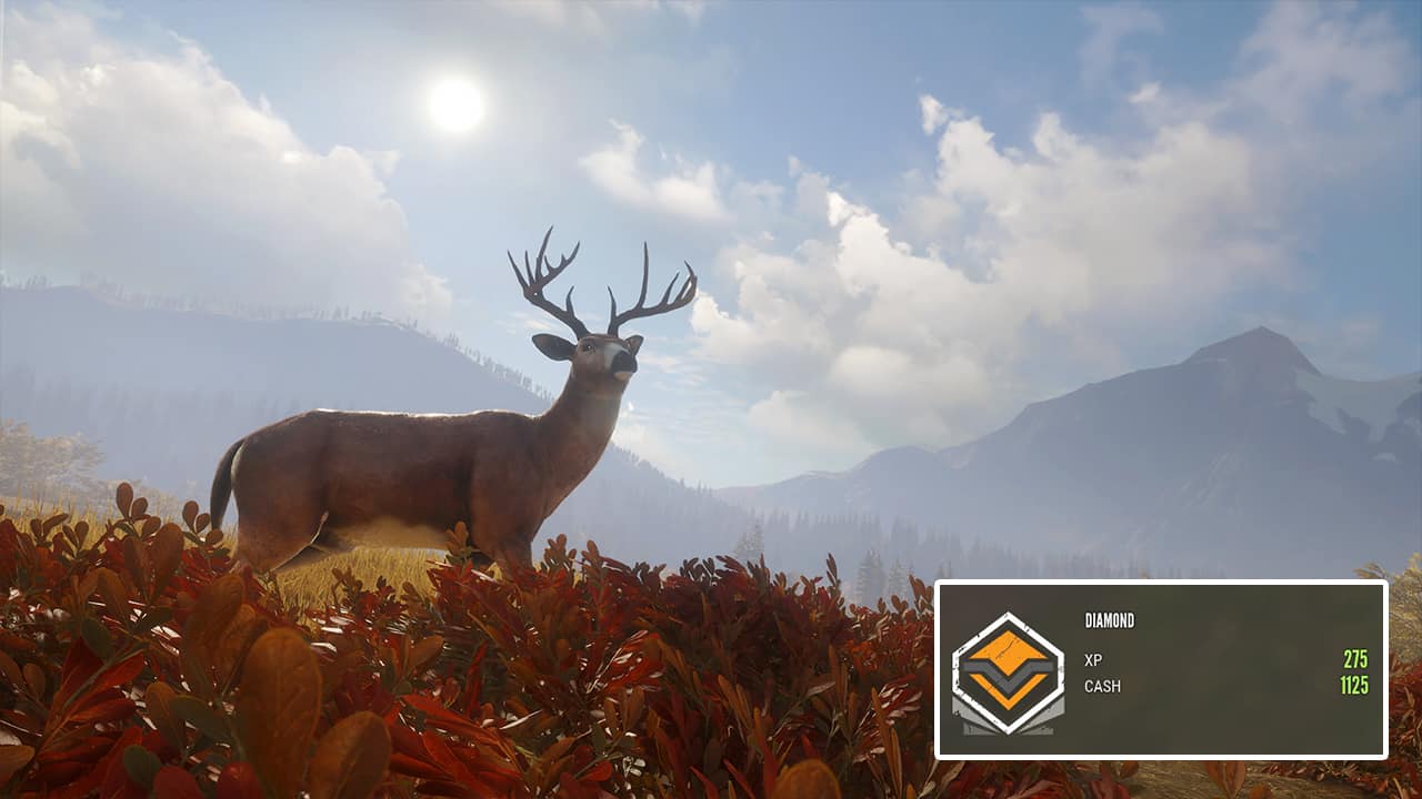 The Hunter Call Of The Wild Diamant Tiere Finden Comment obtenir un diamant dans Call of the Wild Huntsman ? - GAG01